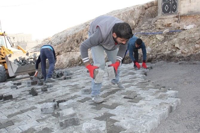 Eyyübiye Belediyesi çalışmalarına ara vermeden devam ediyor