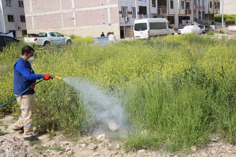 Haliliye'de İlaçlama Çalışmaları Aralıksız Devam Ediyor