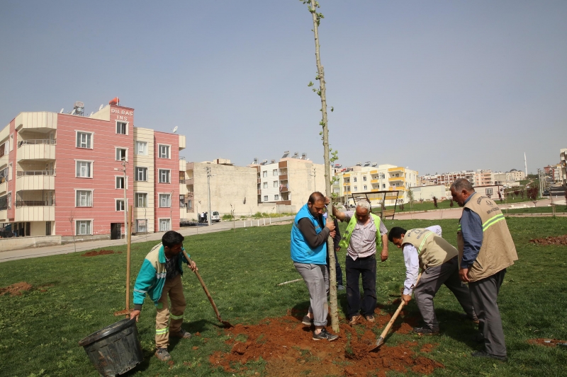 Haliliye’deki Parklarda Mevsimsel Çalışmalar Devam Ediyor