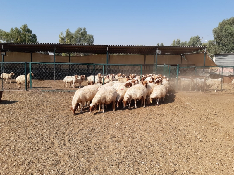 Harran Üniversitesi Bilimsel Çalışmalarda Hız Kesmiyor