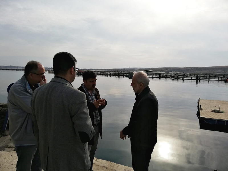 Harran Üniversitesi’nden Alabalık Üreticilerine Teknik Destek