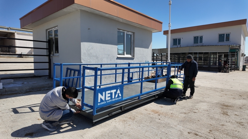 HAYVAN BORSASI’NA ELEKTRONİK BASKÜL 