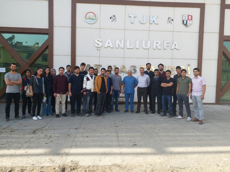 HRÜ Veteriner Fakültesi ile TJK Arasında İşbirliği Protokolü İmzalandı