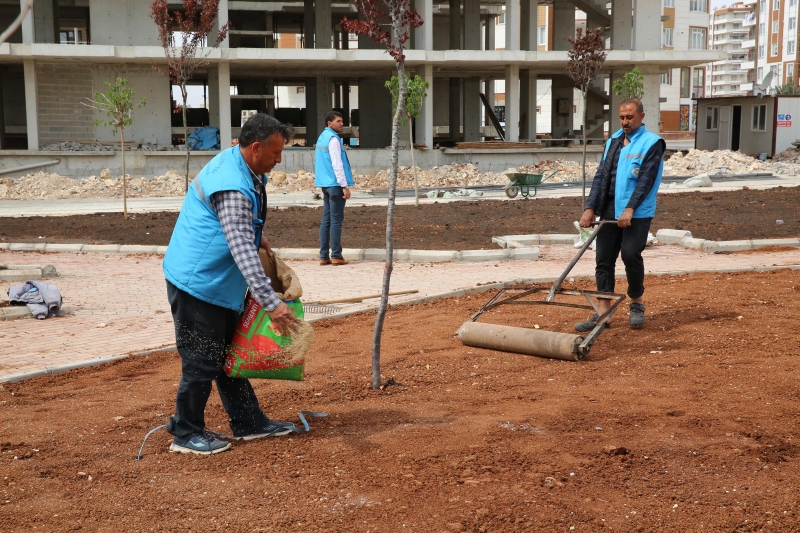 Parklarda Bakım ve Yeşillendirme Çalışması