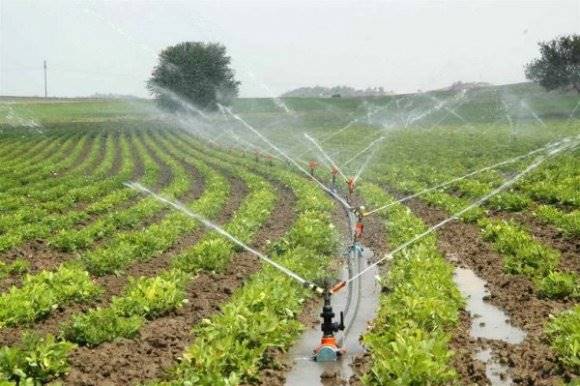 Şanlıurfa'da 110 bin  dekar tarım arazisi modern sulama sistemlerine kavuşacak