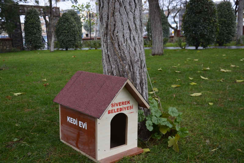 Siverek Belediyesi her parka kedi evi kurdu