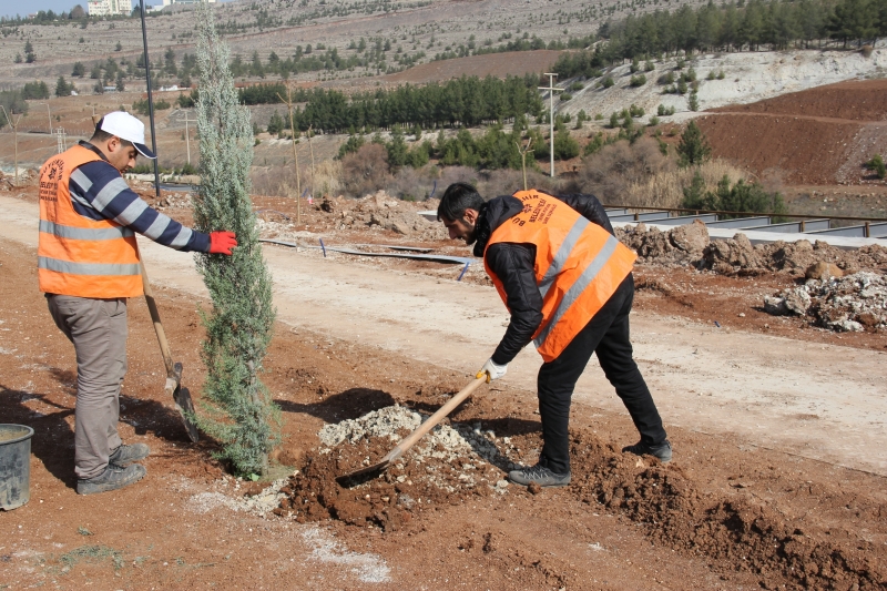 YEŞİL BİR ŞANLIURFA İÇİN 7;DEN 70 ; SEFERBERLİK