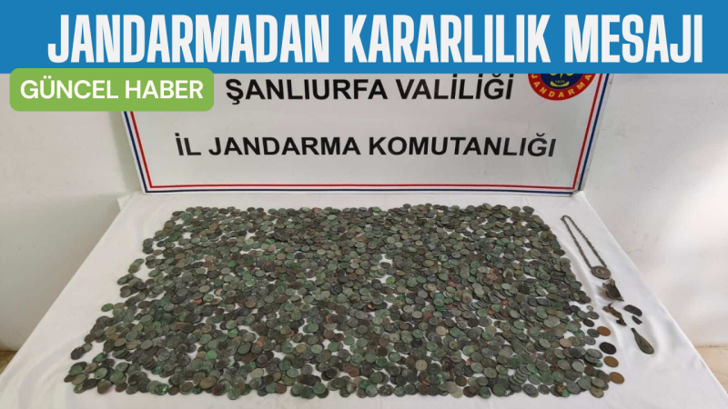Ceylanpınar’da Tarihi Eser Operasyonu: Binlerce Sikke Ele Geçirildi