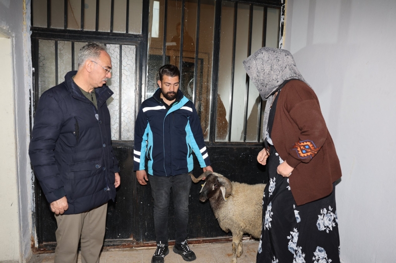 Eyyübiye Belediyesi’nin Destekleri Ailelerin Yüzünü Güldürüyor