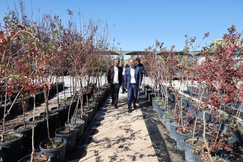 KARAKÖPRÜ’DE AĞAÇLANDIRMA SEZONU BAŞLADI