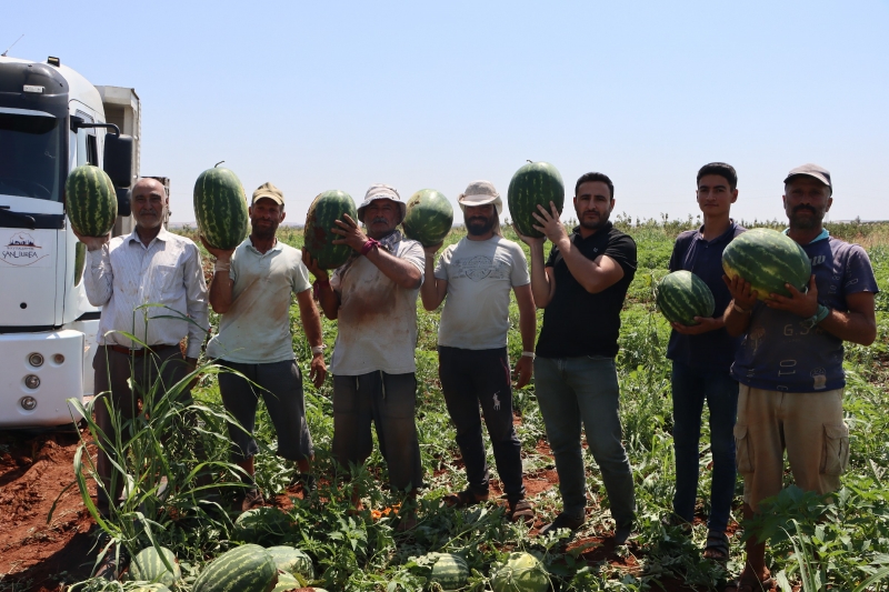YAYLAK KARPUZU ÜRETİCİDEN ALINARAK VATANDAŞA ULAŞTIRILDI
