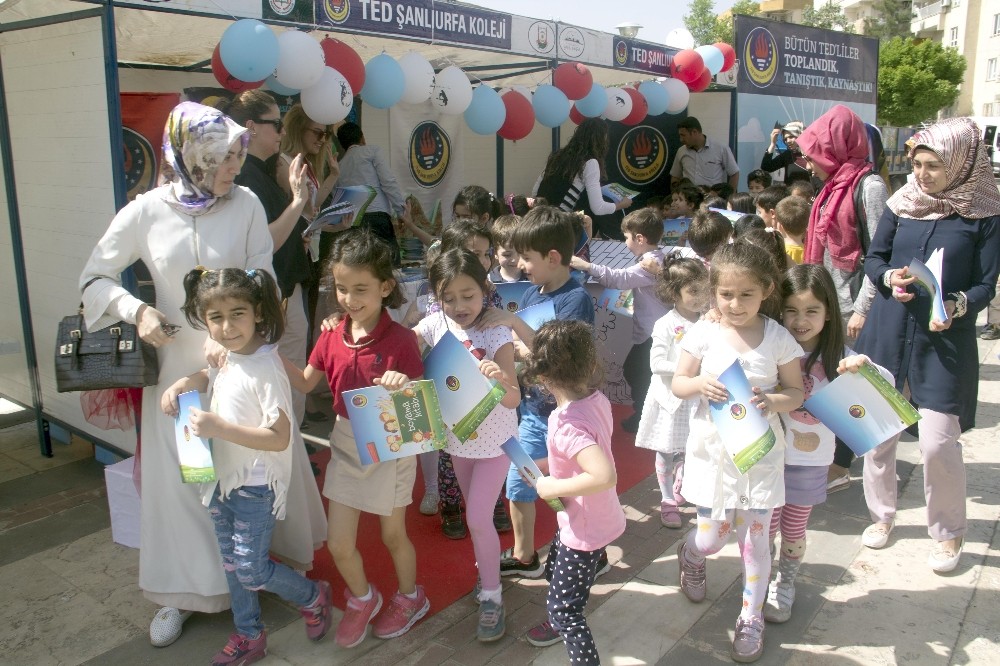 Anaokulları bahar şenliğinde buluştu
