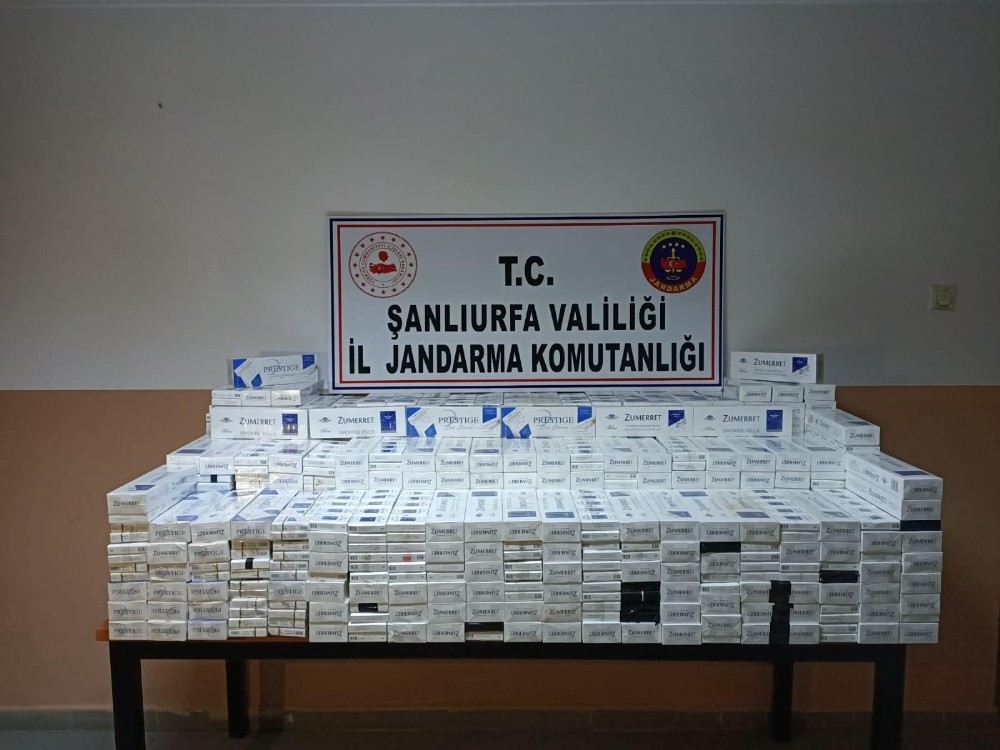 Şanlıurfa’da 5 bin 230 paket kaçak sigara ele geçirildi