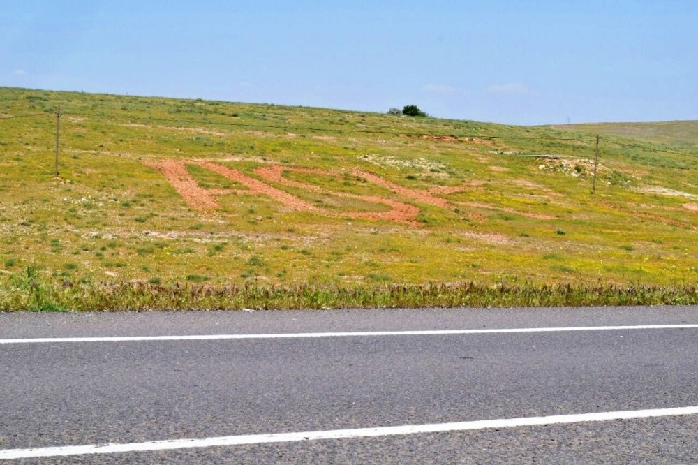 Traktörle tarlaya 30 metrelik aşk yazıp yanına kalp çizdi