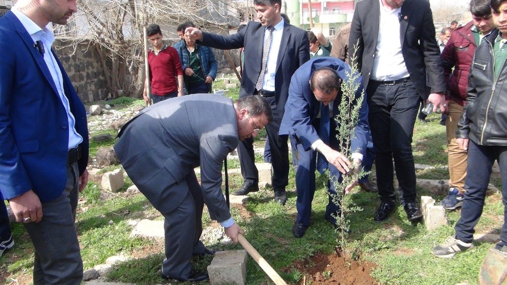 Viranşehir’de fidan dikme kampanyası