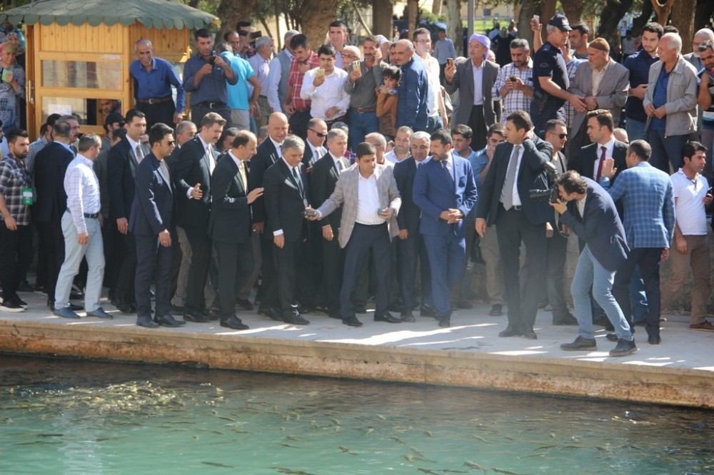Abdullah Gül Balıklıgöl’de balıklara yem attı