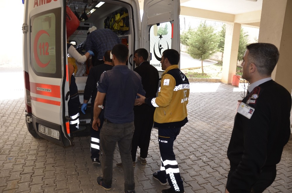 Şanlıurfa’da bir dönümlük arazi kavgasında 7 kardeş yaralandı