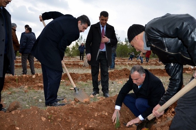 Osmanbey yerleşkesinde bin fidan toprakla buluştu