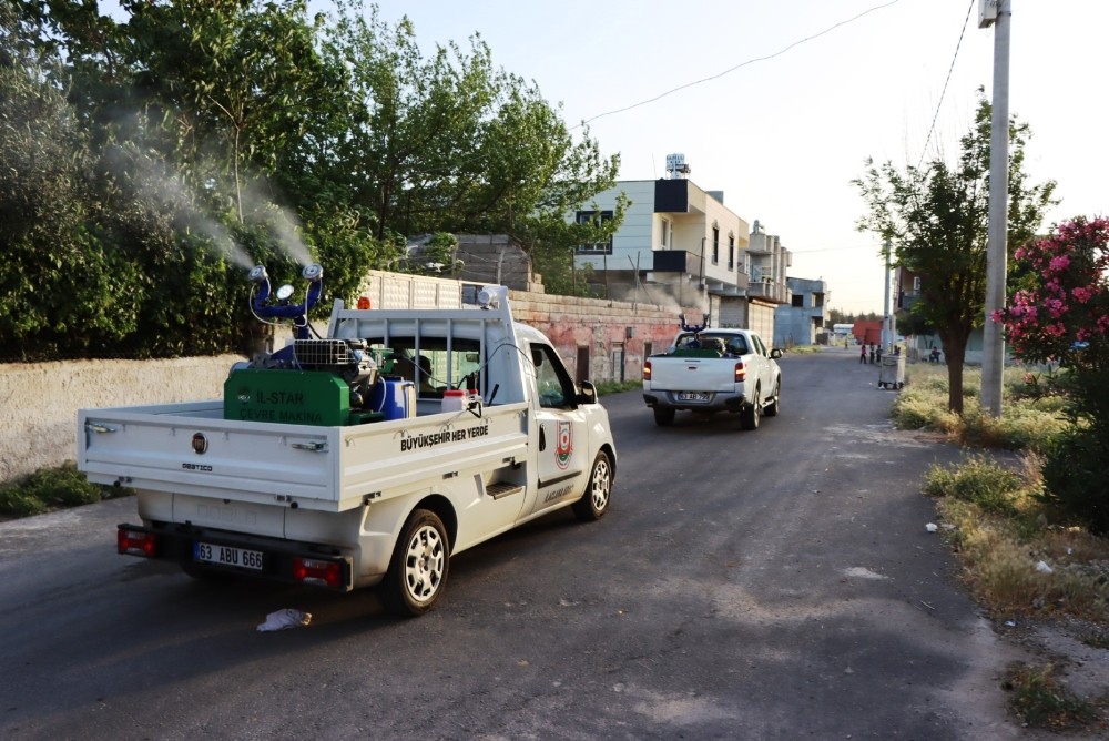 Şanlıurfa’da vektörle mücadele sürüyor