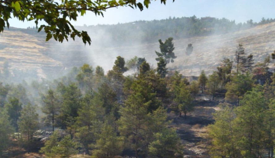 Halfeti’de çıkan orman yangını 16 saatte söndürüldü