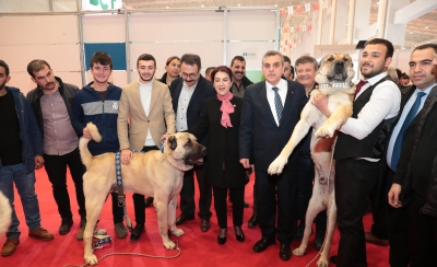 BAŞKAN BEYAZGÜL, 7. GIDA, TARIM VE HAVANCILIK FUARINI ZİYARET ETTİ
