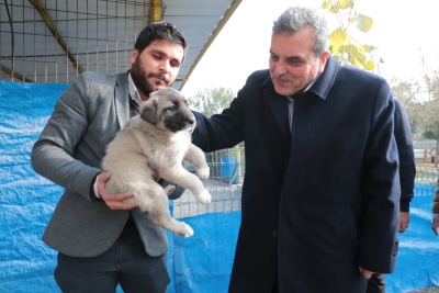 Başkan beyazgül’den hayvanseverlere davet Başkan beyazgül, “hayvan satın almayın sahiplenin” 