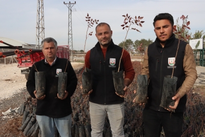 BÜYÜKŞEHİR’DEN ÇİFTÇİLERE 35 BİN FISTIK FİDANI DESTEĞİ