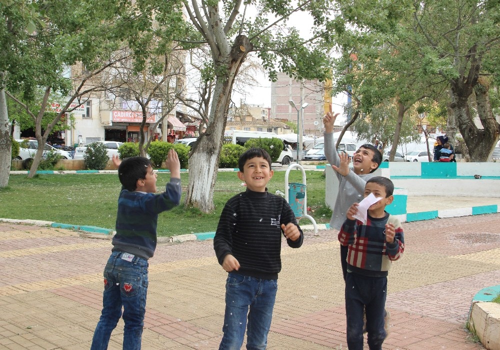 Çocukların ağaçlardan düşen beyaz polenlerle kar keyfi