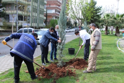 DAHA YEŞİL BİR HALİLİYE İÇİN EKİPLER İŞ BAŞINDA