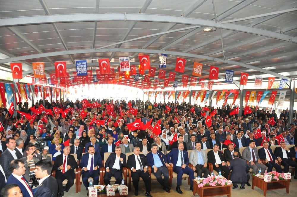 Bakan Çelik’ten Ceylanpınar’da toplu açılış