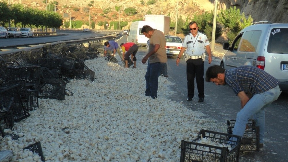 Devrilen tırdaki tonlarca sarımsak yola döküldü