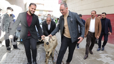 Eyyübiye’de 400 Aileye Büyük Sürpriz