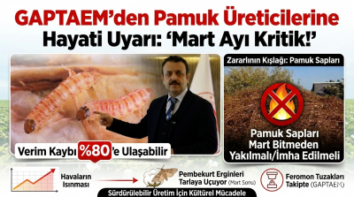 GAPTAEM’den Pamuk Üreticilerine Hayati Uyarı