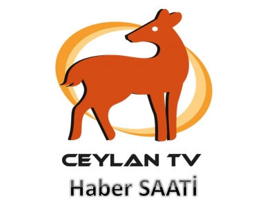Haber Saati