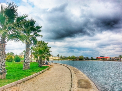 Harran Üniversitesi’ne İlgi Büyük