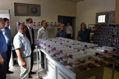 Harran Üniversitesi’ndeki Akrep Merkezine Açık Alan Bahçesi Yapıldı