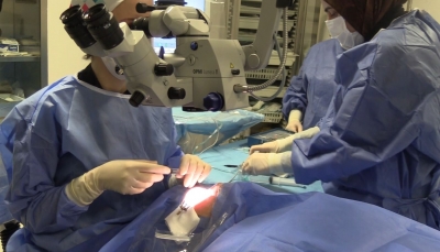 Katarakt Tedavisinde Erken Tanı Hayat Kalitesini Yükseltiyor