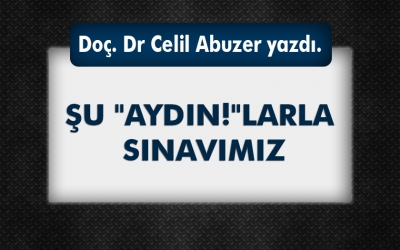 Köşe yazarımız Aydın profilini çizdi