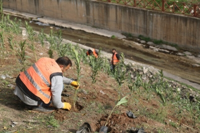ŞANLIURFA BAHARLA BİRLİKTE RENGÂRENK ÇİÇEKLER AÇACAK