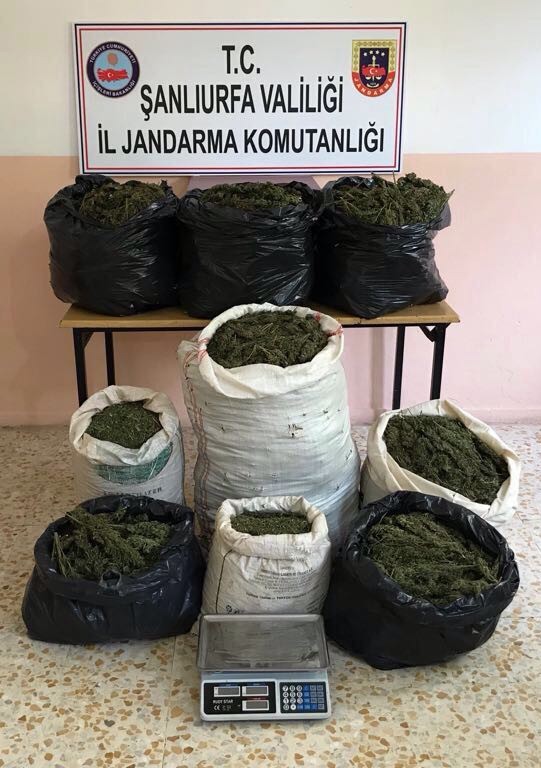 Şanlıurfa’da 83 kilo esrar ele geçirildi