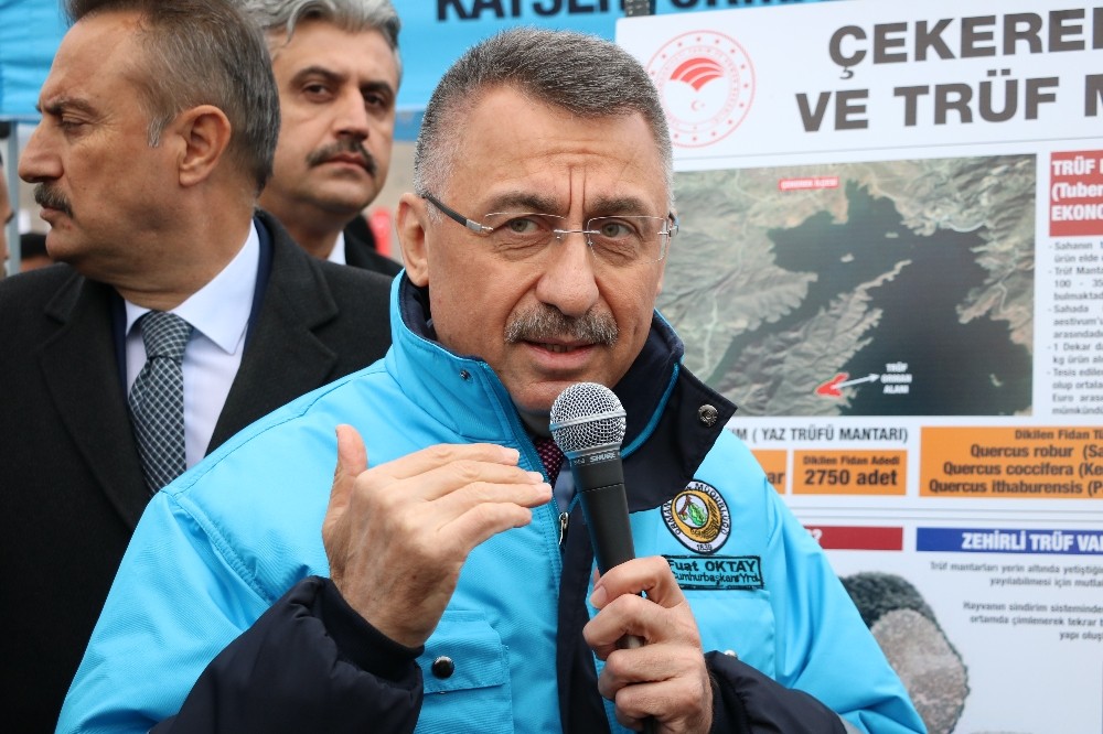 Cumhurbaşkanı Yardımcısı Oktay: “Yerelden kalkınma olmazsa ulusal anlamda kalkınmayı başaramayız”