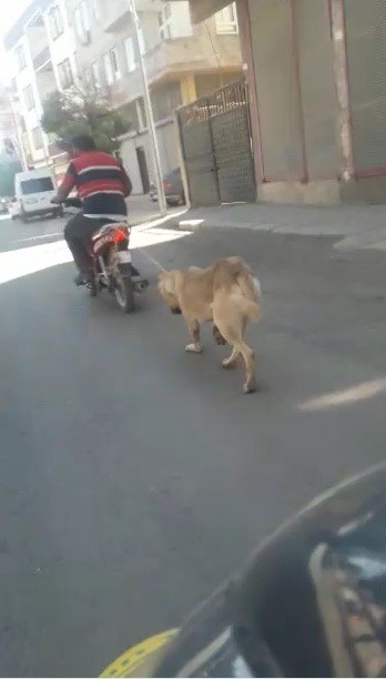 Köpeğin boğazına ip geçirip motosikletin arkasına bağladı