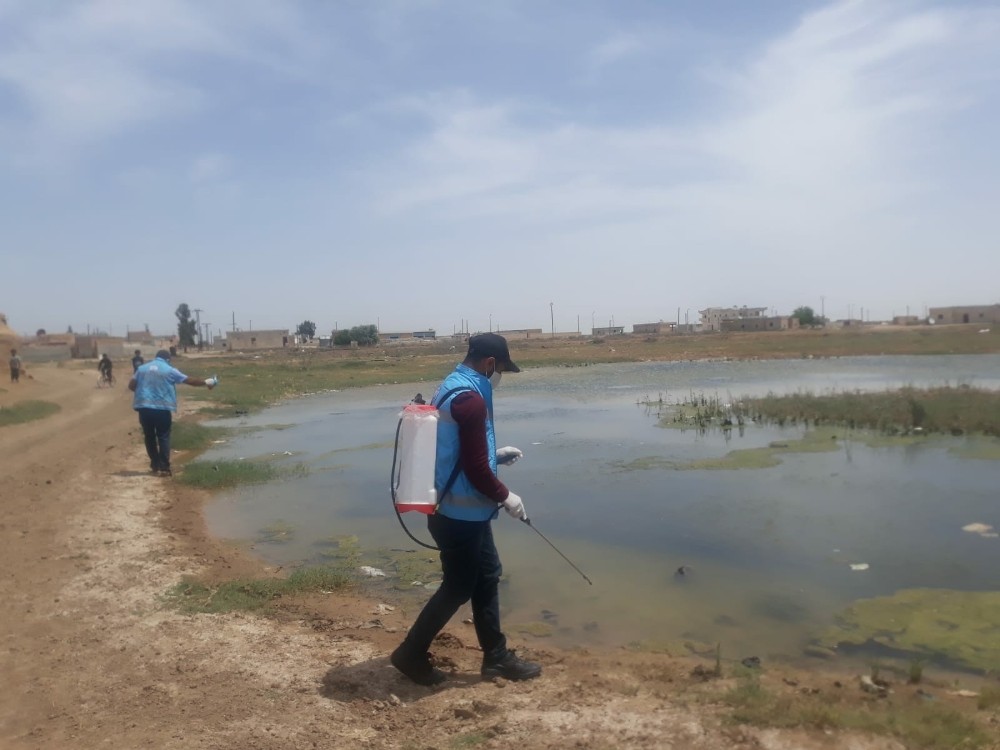 Barış Pınarı bölgesinde haşereyle mücadele sürüyor