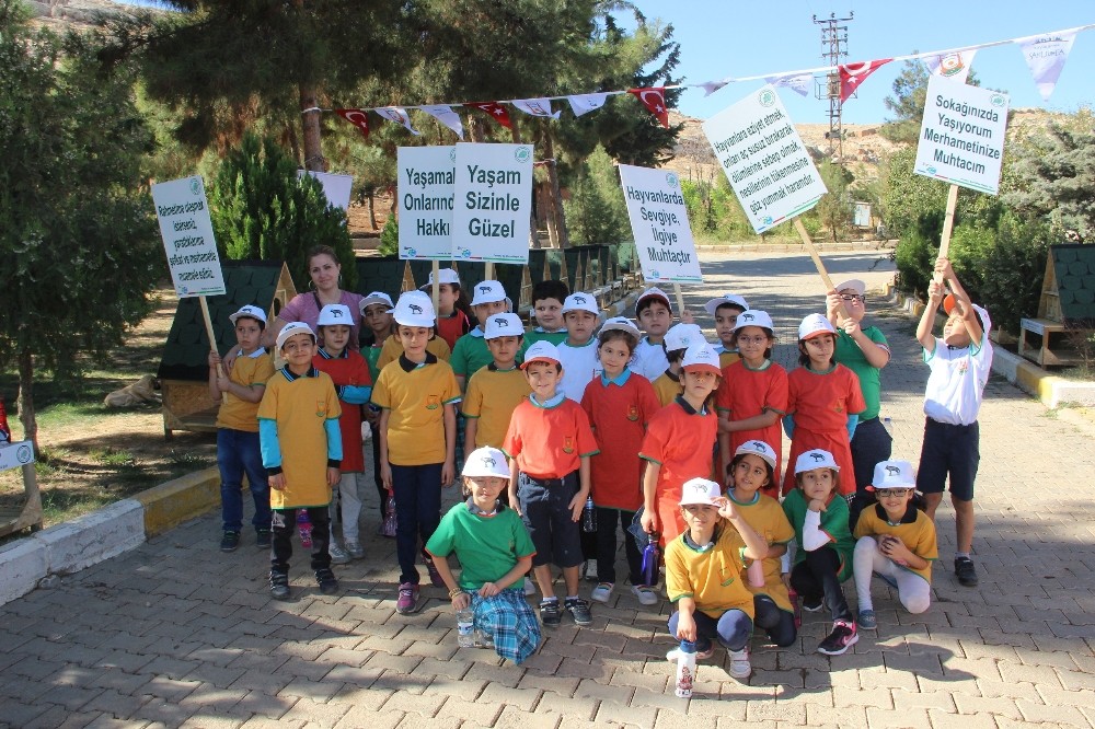 Şanlıurfa’da Dünya Hayvan Koruma günü etkinleri