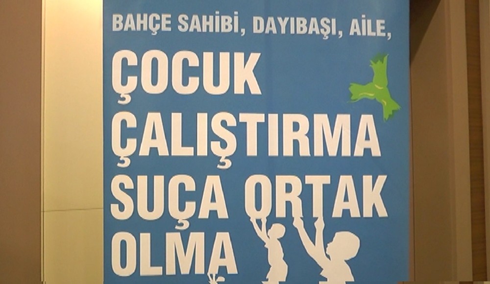 Mevsimlik işçi olarak çalıştırılan çocuklar için çalıştay yapıldı