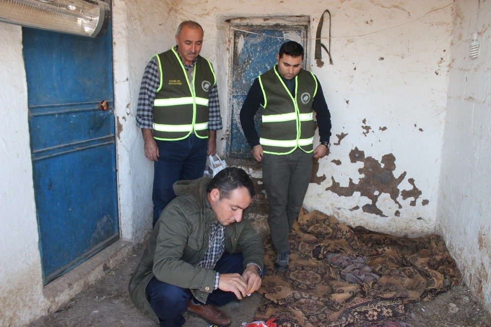 Yaralı köpeğe bakan gönüllüye teşekkür ziyareti