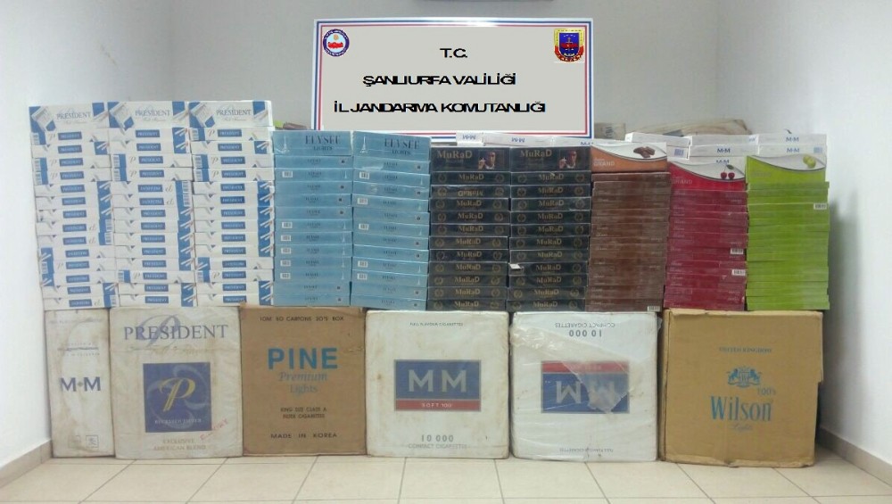 Şanlıurfa’da 45 bin 500 paket kaçak sigara ele geçirildi