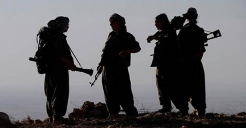 2 terör örgütü mensubu daha ikna edilerek teslim oldu