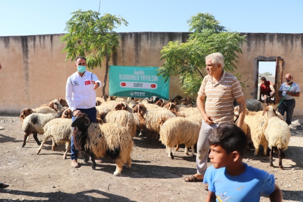 Hayırseverlerin bağışladığı kurbanlar ihtiyaç sahiplerine ulaştı