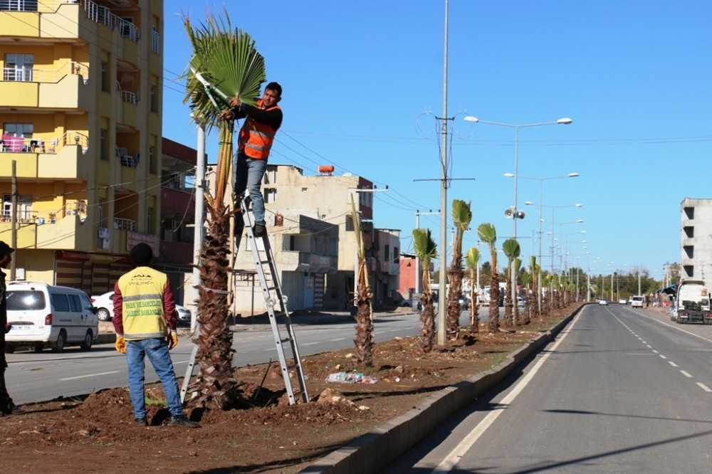 Akçakale’de yeşil alan seferberliği